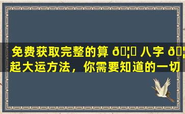 免费获取完整的算 🦉 八字 🦉 起大运方法，你需要知道的一切！